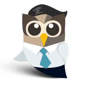 Owner Owl