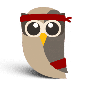 Owl ready for action