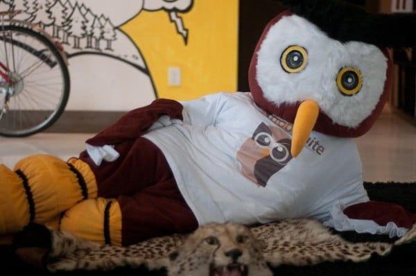 Ready for close-up HootSuite's Owly ready for filming