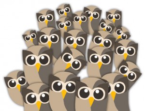 Social Owls
