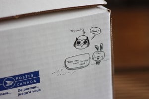Owly details HootSuite owl details on shipping box