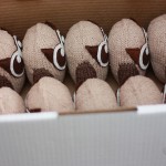 HootSuite Owls packed up