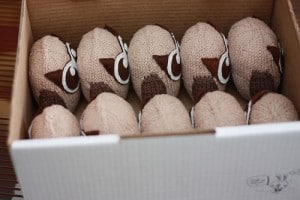 Plush Owls Read to be Sent HootSuite Owls packed up