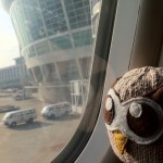 HootSuite Owl takes a flight