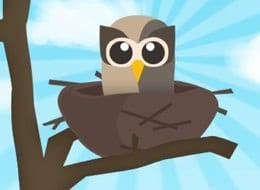 Owly in the nest HootSuite's Owly in the nest