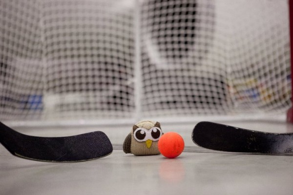 Owly is a team player owly plays in net