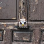 owl-door