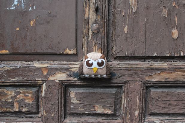 The Owls have a home