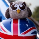 Owly on a Mini