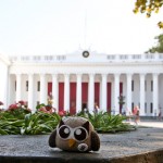 plush owly travels