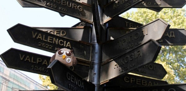 owly directions