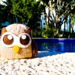 Owly on vacation