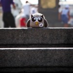 owly on stairs
