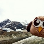 Owly in the winter