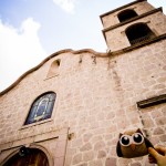 Owly Looking Up