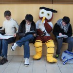Owly hard at work