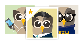 owly team