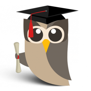 Grad Owly Grad Owly