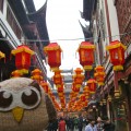 Owly celebrating Chinese New Year