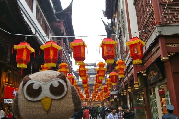 Owly celebrating Chinese New Year