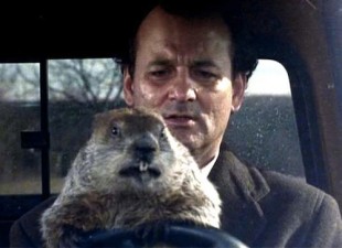 Bill Murray in Groundhog Day. Image from taskrabbit.com
