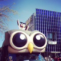 Owly and the HootBus rolling into Austin