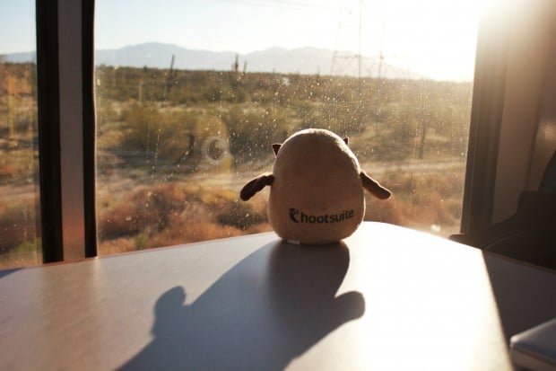 Owly enjoying the view on #HootTrak