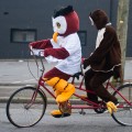 bike owly