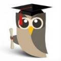 hootuowly150