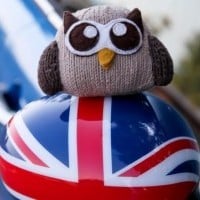 Owly on his big UK trip!
