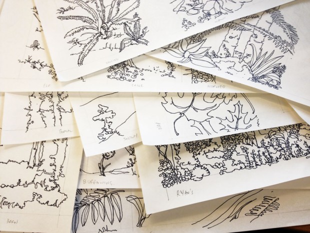 Tree Drawings