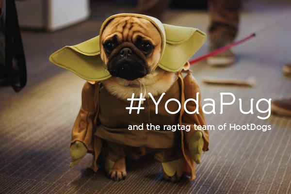 YodaPug Monty. For the full photo set, click the title.