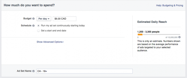 Social media advertising - Facebook ad budget