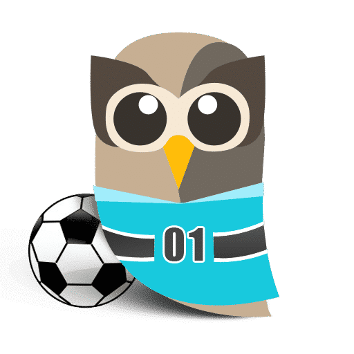 HootSuite celebrates the world cup