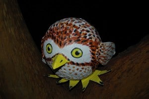 Paper Mache Owly Owly made by Hoot-fan