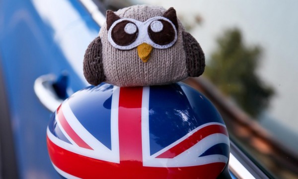 Owly on a Mini