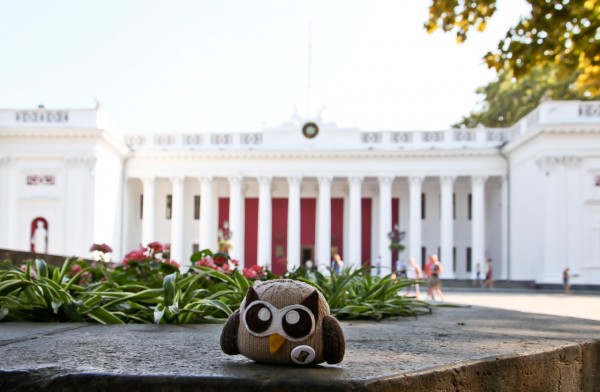 plush owly travels