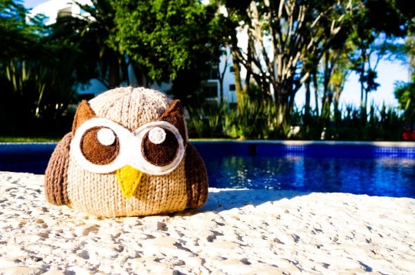 Owly on vacation