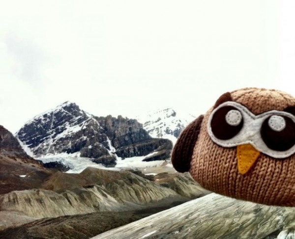Owly in the winter