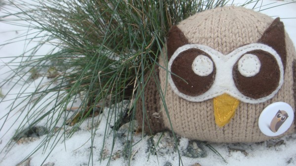 plush owly in the snow