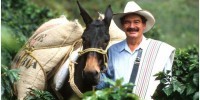 Juan Valdez