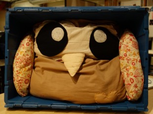Owly on the move