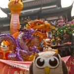 互随中国行
