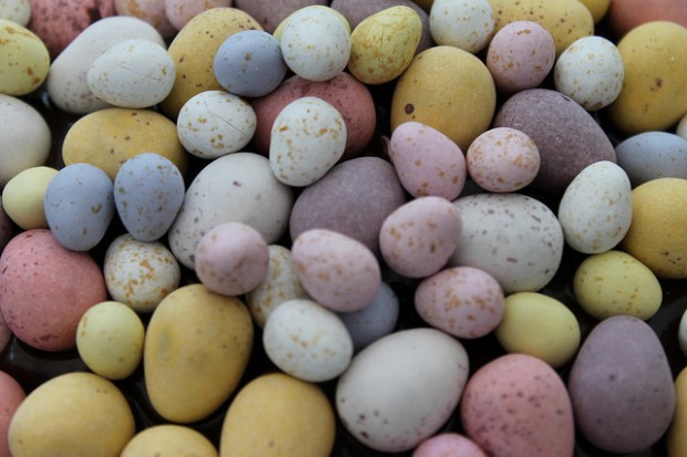Image by WillowGardeners on Flickr
