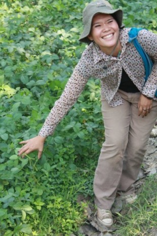 Sustainable agriculture development in Chiang Mai, Thailand. (Photo Credit: Alyssa Kritsch)