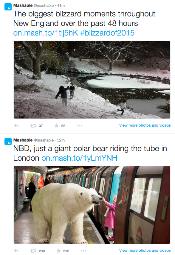  Mashable's Twitter Feed 