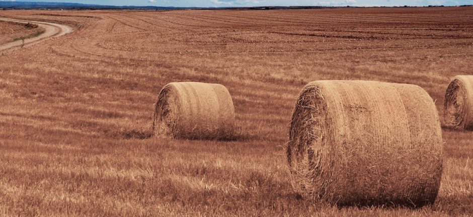 user generated content as represented by hay