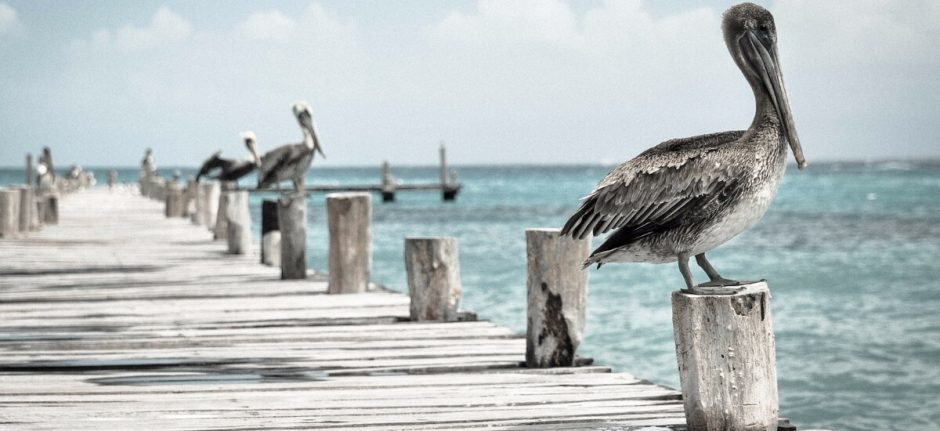 How to Create, Manage, and Measure Twitter Contests | Hootsuite Blog