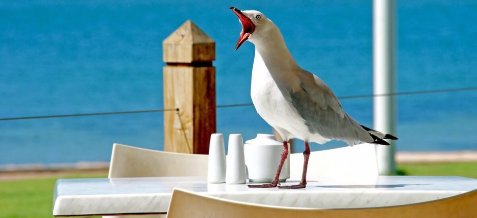 6 Ways You’re Failing at Twitter | Hootsuite Blog | ES: Guía de Facebook para optimizar tu alcance orgánico