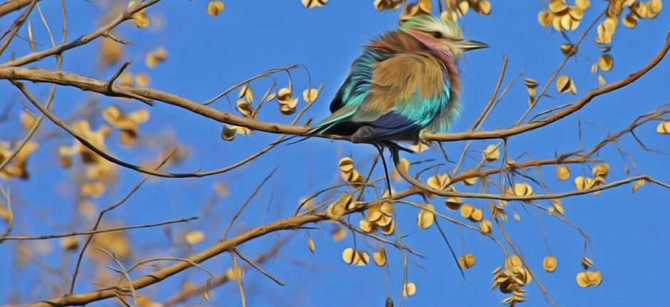 How Small Businesses Can Use Curated Content to Save Time on Twitter | Hootsuite Blog